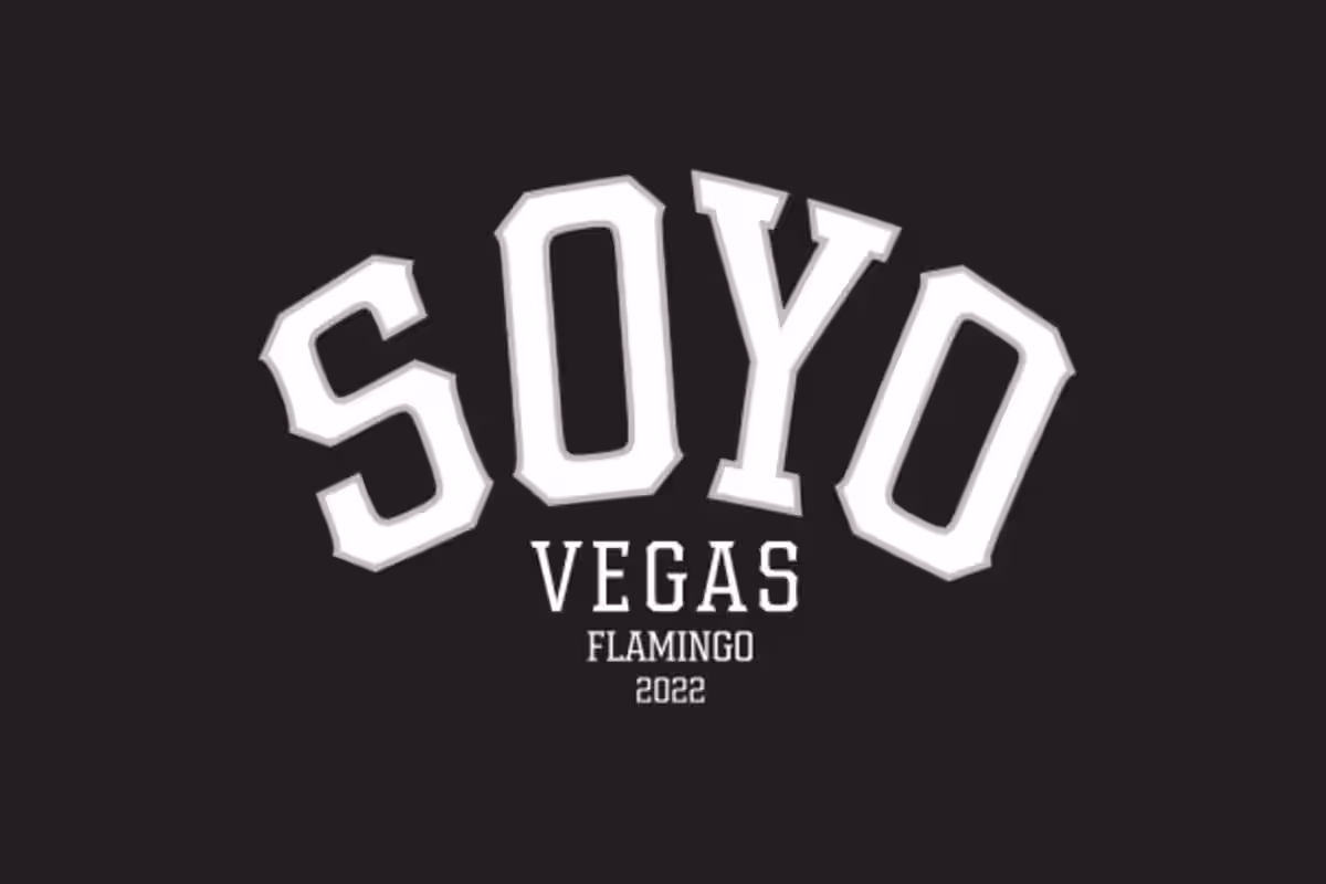 Soyo Flamingo logo
